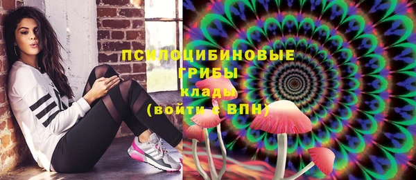 мдпв Абинск