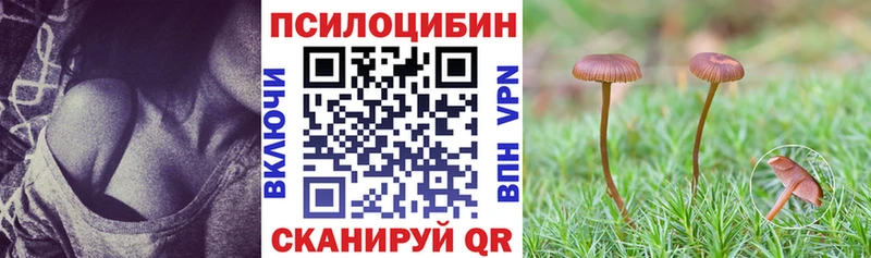 Псилоцибиновые грибы MAGIC MUSHROOMS где можно купить наркотик Ирбит