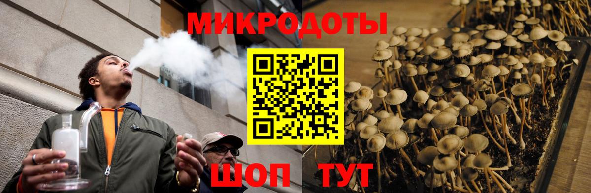 Ирбит  закладка  Вход с VPN  Галлюциногенные грибы MAGIC MUSHROOMS 